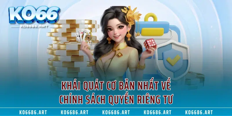 Khái quát cơ bản nhất về chính sách quyền riêng tư